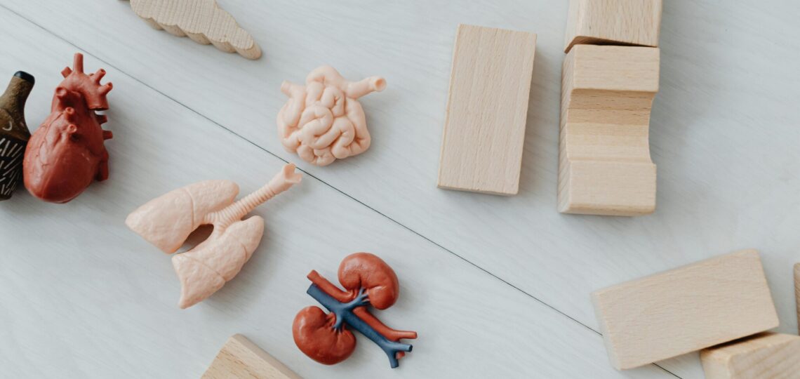 Interoception and its Role in Emotional Regulation